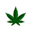 SnoopCraft logo