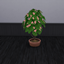 Hibiscus Harvestable logo