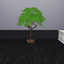 Cloves Harvestable logo