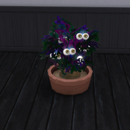 Eyeball Harvestable