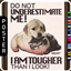 🖼️ [ESI] Tough Puppy (Poster) logo