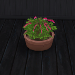 Bleeding Hearts Harvestable logo