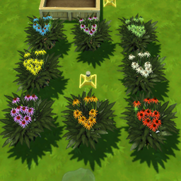 Coneflower Harvestable logo