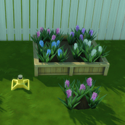 Hyacinths Harvestable logo