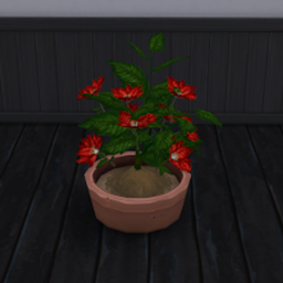 Poinsettia Harvestable logo
