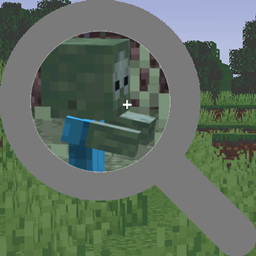 Better Zoom