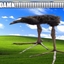 DAMN!!!!!!!!!!! logo