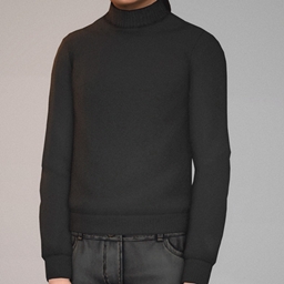 SDX Turtleneck project image