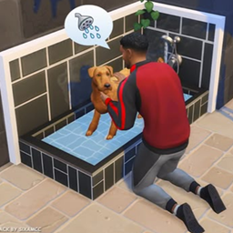 Cat And Dog Custom Traits PT-BR