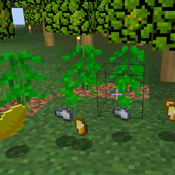 CropsCraft project image