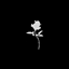 Runic Revolution logo
