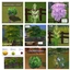 Various Harvestable Crops Pack Number Two by icemunmun Portuguese translation logo