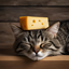 Cheesetopia logo
