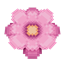 Bushy Round Blossoms