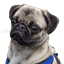 Westerhausen Modpack logo