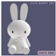 Cute bunny toy