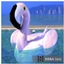 Functional Flamingo pool float avatar