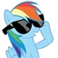 PonyPals109 logo