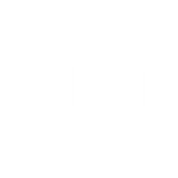 PaulieRaidTools logo