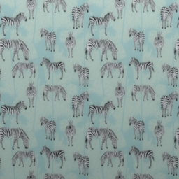 Look! A Zebra!