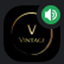 VintageLibrary logo