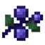 Blue Berries Delight logo