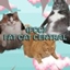 FatCatCentral SMP logo