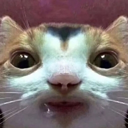 BBBBDE