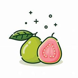 GuavaCraft