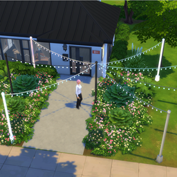 Basegame Pole String Lights project image