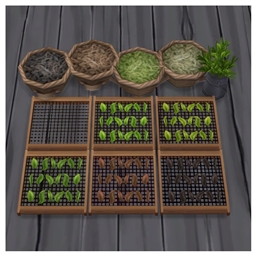 Tea curing by BrazenLotus Spanish translation