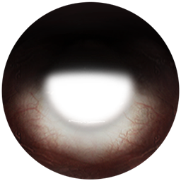 Sclera 01 (various categories) logo