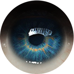 Volatile Eyes logo