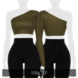 Simpliciaty's Vina Top logo