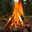 TheCampfire Community Server logo