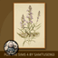Classic Flower Painting #1 Sellable Extra A Samtuse963 logo