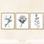 Black and White Flowers by Blustersims logo