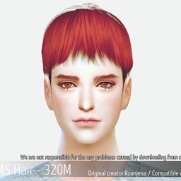 Korean Hair 320M logo