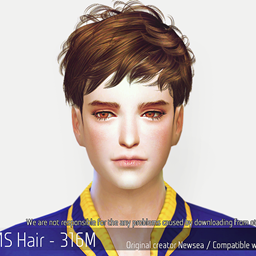 Korean Hair 316M logo