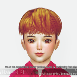 Korean Toddler Hair 313T logo