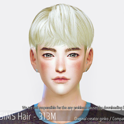 Korean Hair 313M logo