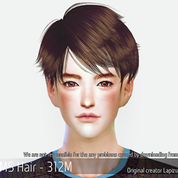 Korean Hair 312M logo