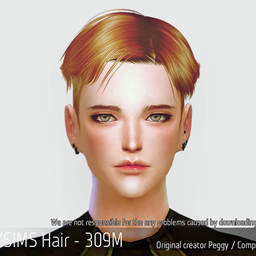 Korean Hair 309M logo