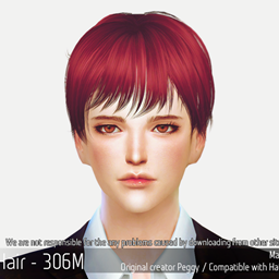 Korean Hairstyle 306M project image