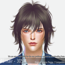 Korean Hairstyle 305M logo