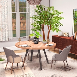 Rilma Dining Room