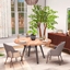 Rilma Dining Room avatar