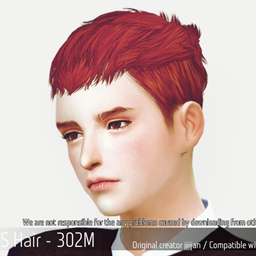 Korean Hairstyle 302M logo