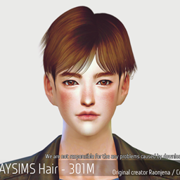 Korean Hairstyle 301M project image