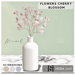 Flowers cherry blossom in vase